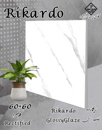 سرامیک پردیس مدل ریکاردو 60*60